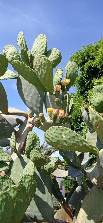 Tenuta Don Monaco - Agroturismo Santa Cesarea Terme